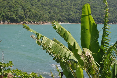 fortaleza de anhatomirim - sc photo