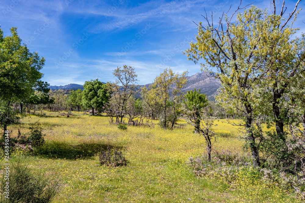 View of the national park of Guadarrama. madrid Spain View of the national park of Guadarrama. madrid Spain