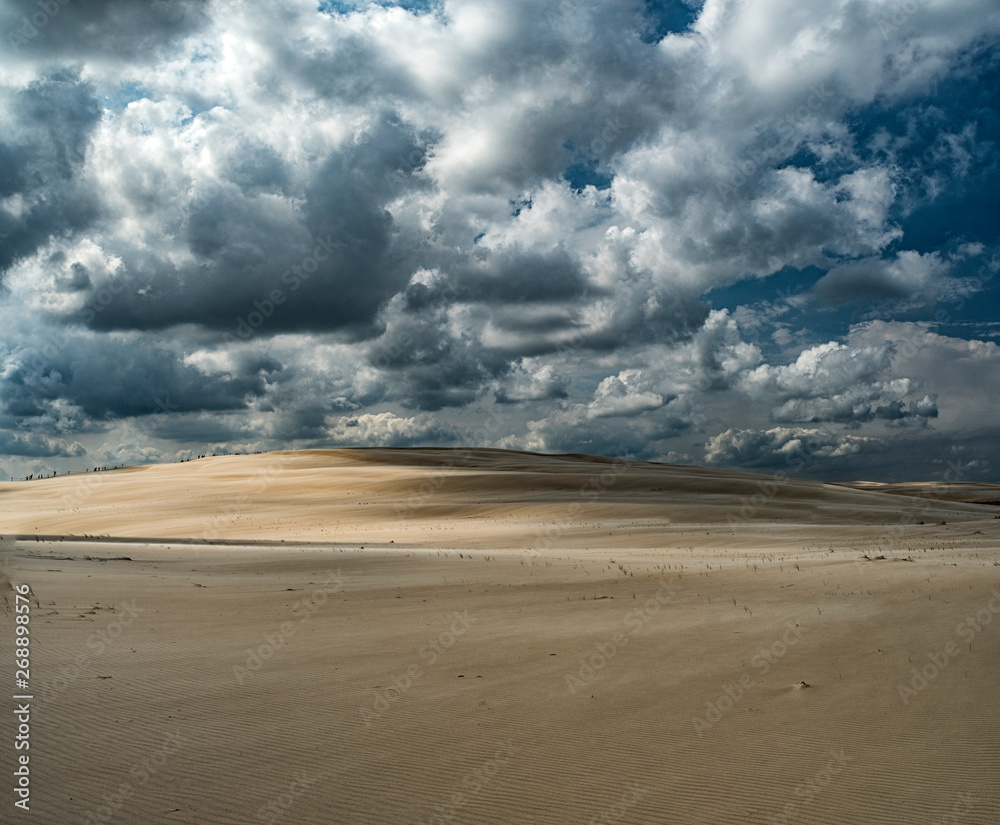 Dune in Slowinski national park, Leba, Poland Dune in Slowinski national park, Leba, Poland