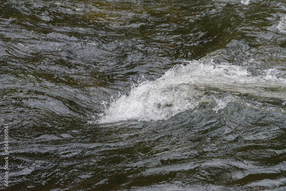 water surface close-up, background. water surface close-up, background.
