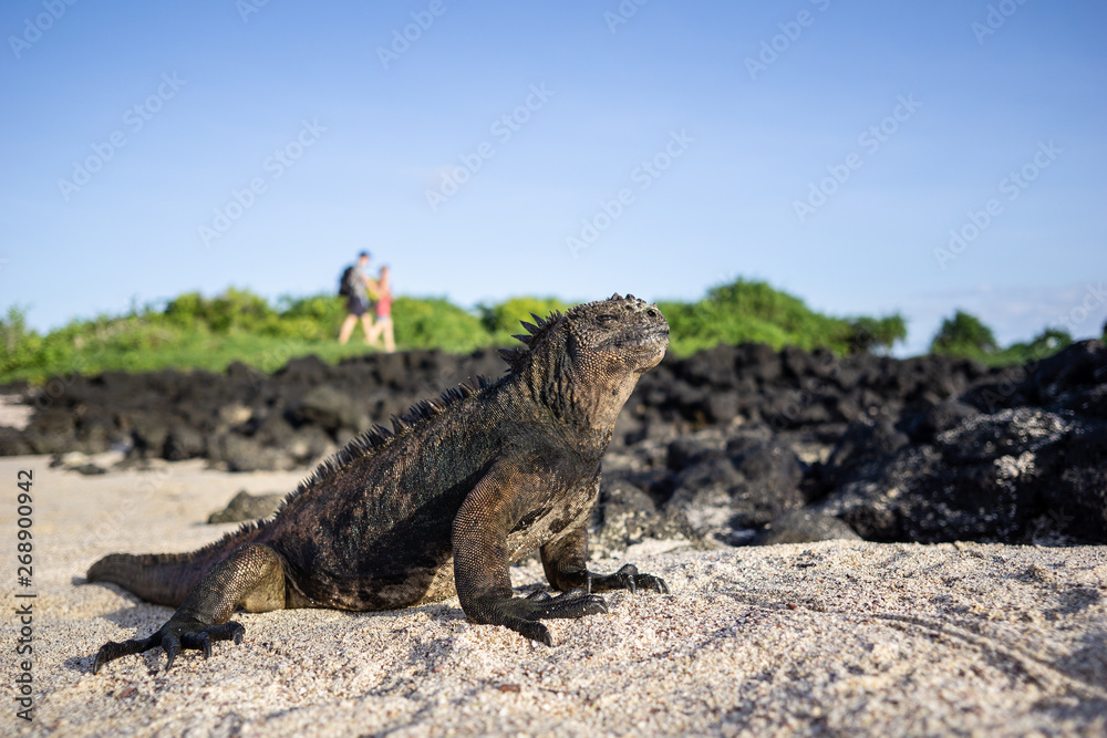 Fototapeta premium Ecuador Galapagos islands 