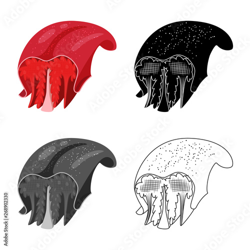 Vector design of fiber and muscular icon. Collection of fiber and body  vector icon for stock.