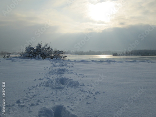 Trail in the snow and ice covered trees in the winter freezing day. River Danube environment, Futog Serbia photo