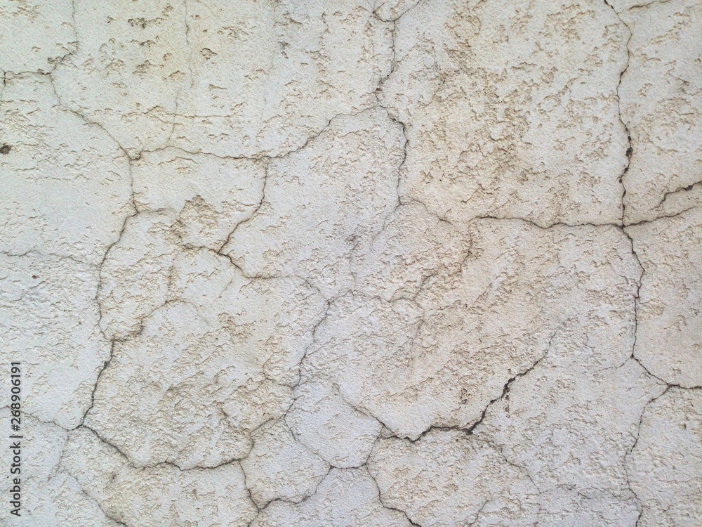creamy concrete wall covered in scratches and bumblebees, painted white, bacground texture creamy concrete wall covered in scratches and bumblebees, painted white, bacground texture