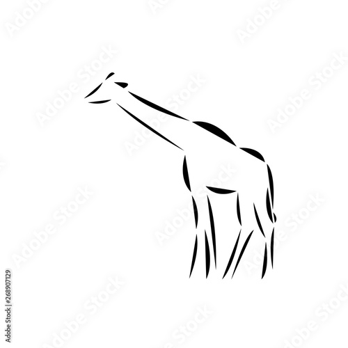Schematic logo icon of african giraffe.