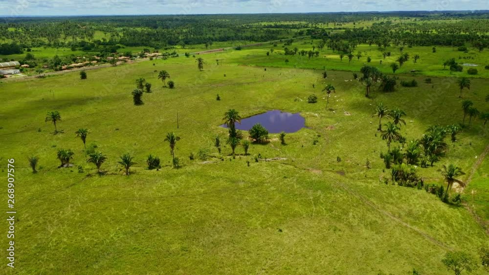 Aerial shot flying towards a small watering hole in rural Brazil Aerial shot flying towards a small watering hole in rural Brazil