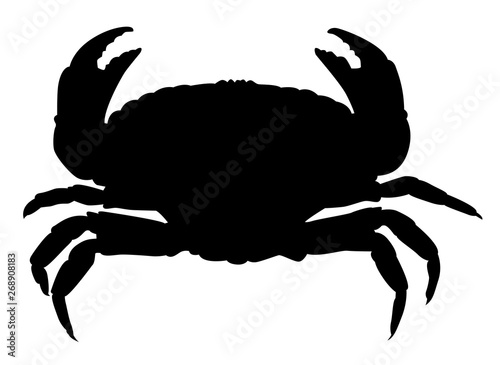 Silhouette noire de crabe sur fond blanc