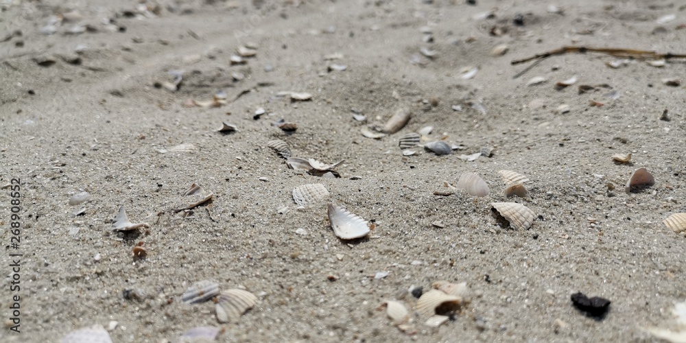 Strand Strand