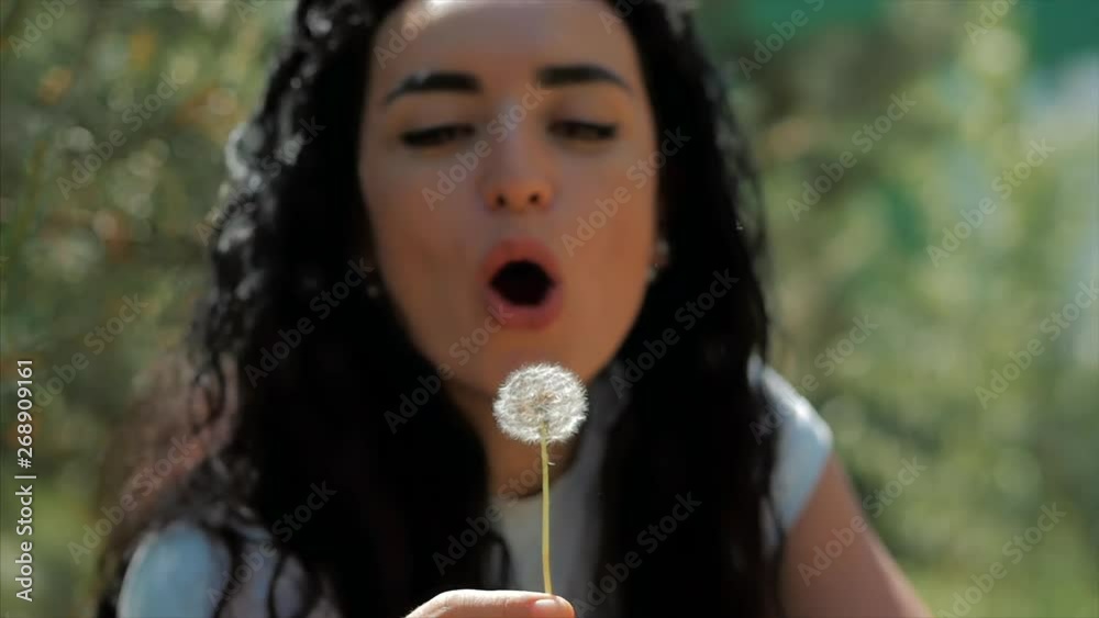 Slow Motion Close-Up Shot of Cute Little Boy Carefree Blowing a Dandelion Outdoors on a Sunset. Concept of Happy Carefree Childhood. Soft Focus. Slow Motion Close-Up Shot of Cute Little Boy Carefree Blowing a Dandelion Outdoors on a Sunset. Concept of Happy Carefree Childhood. Soft Focus.
