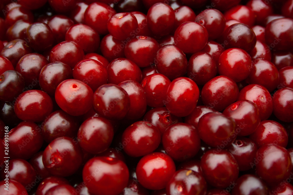 Heap of fresh red cherry with water drops. pile of ripe cherries background close up Heap of fresh red cherry with water drops. pile of ripe cherries background close up