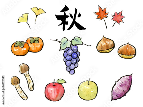 秋の野菜果物 墨絵セット Stock Vector Adobe Stock
