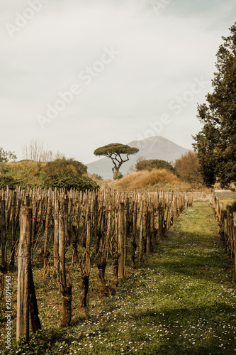 Mt. Vesuvius 