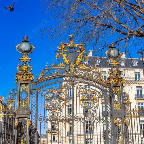 Paris, in the beautiful parc Monceau, the golden wrought iron grid, with typical buildings in background  photo