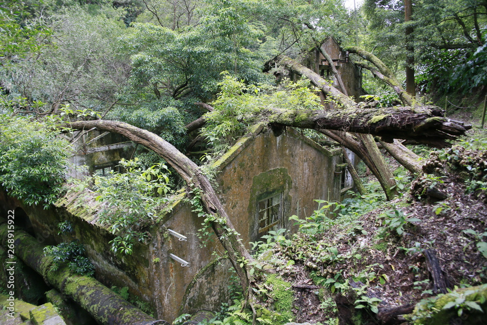 Wanderung zu den vier Fabriken des Lichts-Quatro Fabricas da Luz Wanderung zu den vier Fabriken des Lichts-Quatro Fabricas da Luz