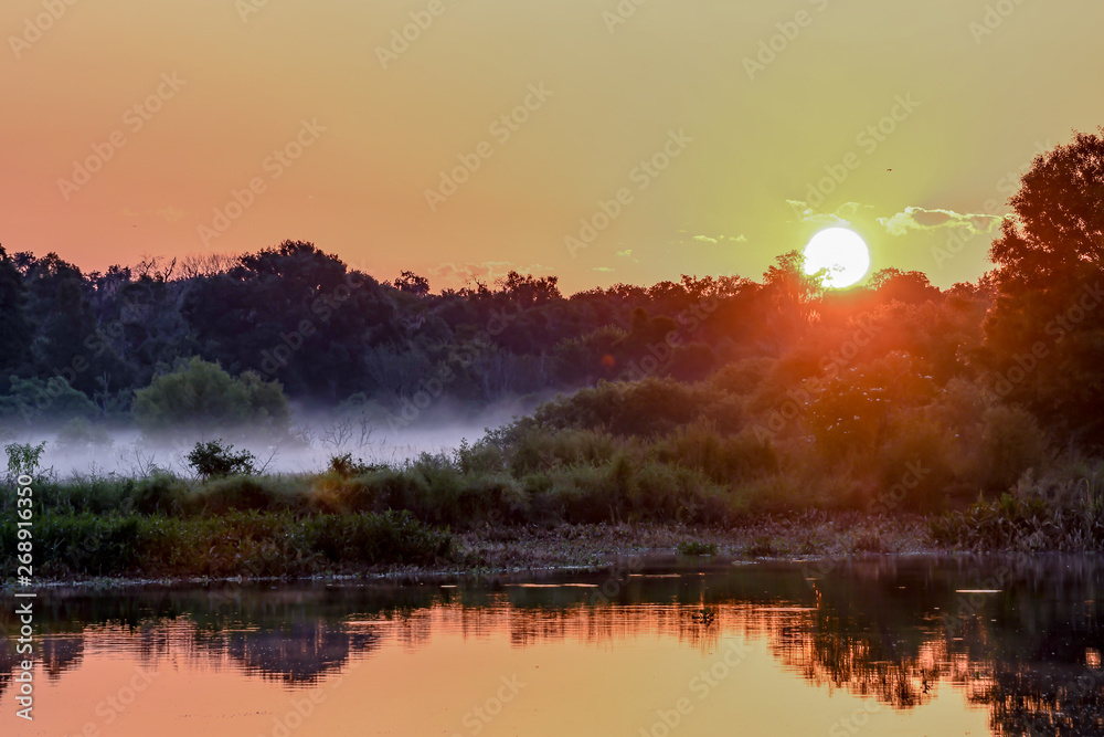 Misty sunrise in Florida wetlands Misty sunrise in Florida wetlands
