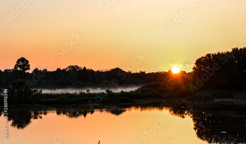 The sun rising over the Florida wetlands on a misty morning