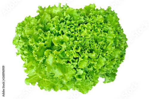 green  lettuce isolated on white background