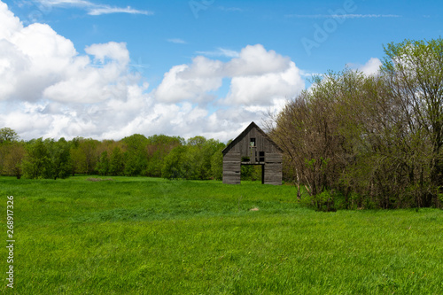 Vintage barn in the meadow © EJRodriquez