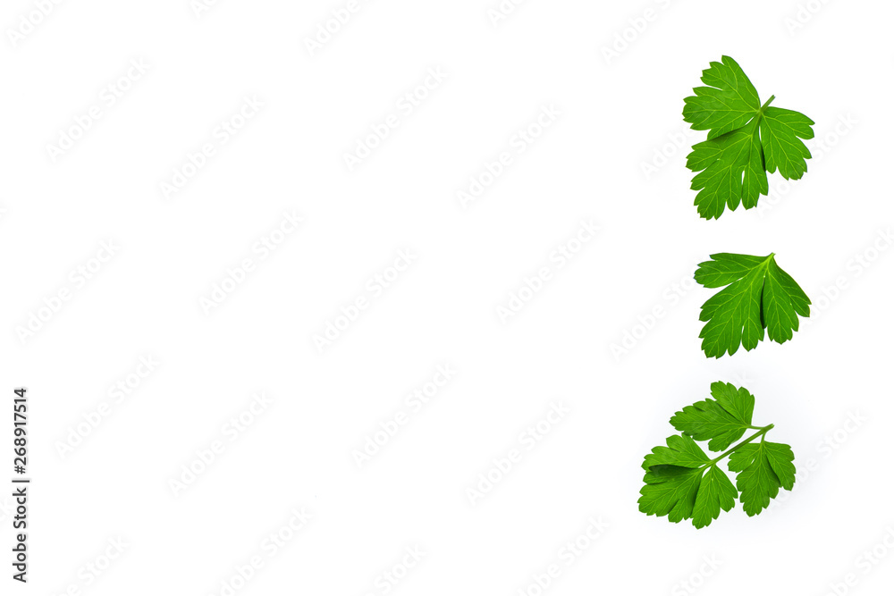 chopped fresh parsley leaves on white background with copy space on left chopped fresh parsley leaves on white background with copy space on left