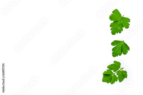 chopped fresh parsley leaves on white background with copy space on left