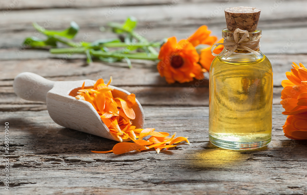 Glass bottle of calendula essential oil with fresh marigold flowers on wooden table. Aromatherapy marigold oil herbal medicine background concept with copy space - obrazy, fototapety, plakaty 