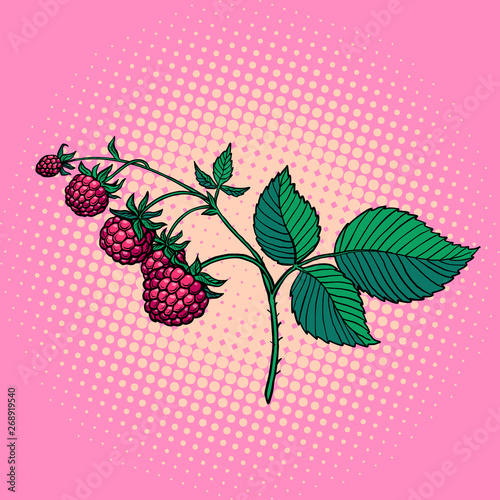 raspberry twig. wild berry