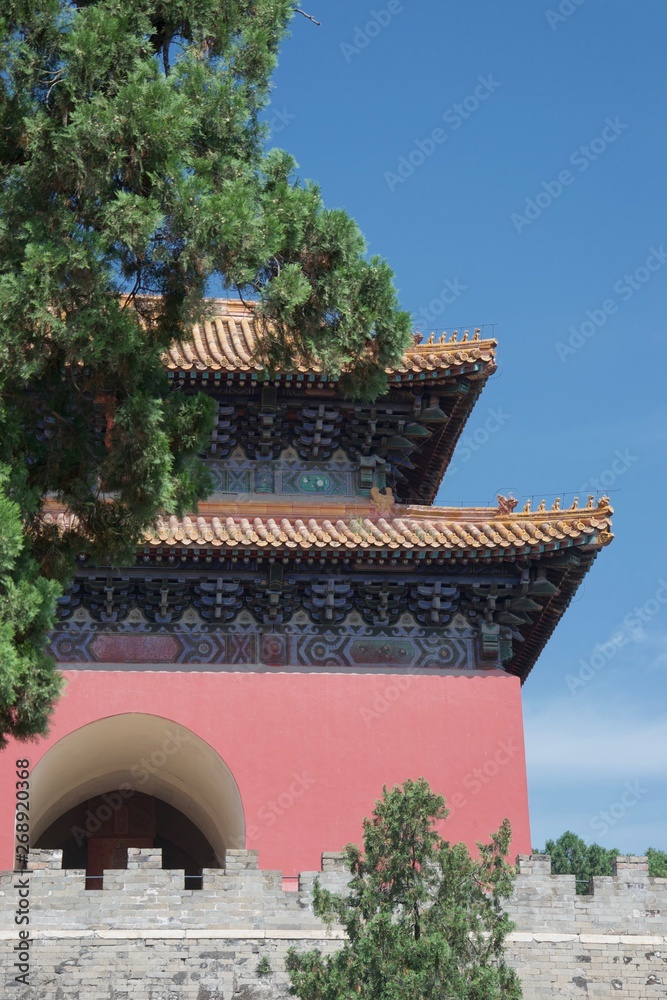 Chinese temple hidden behind pine tree