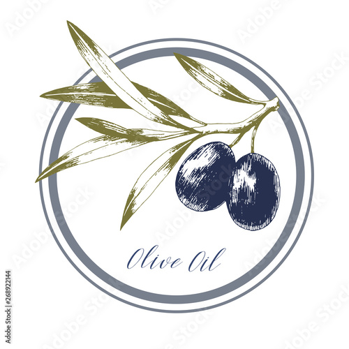 Round olive oil label. Hand drawn vector illustration. Package design.