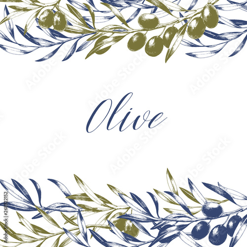 Frame of black and green olive tree branches. Hand drawn vector illustration. Package design. © Evgeniya