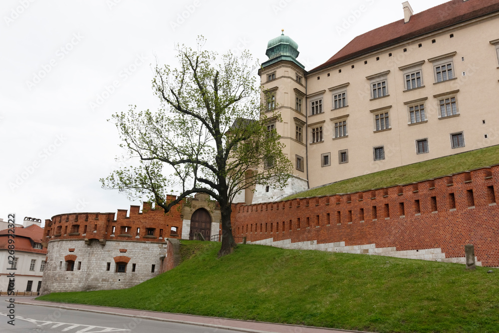 Obraz premium Wawel Castle