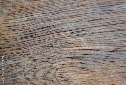 Macro photography of different textures of wood produced naturally by fungi marks, humidity, fire or by tools.