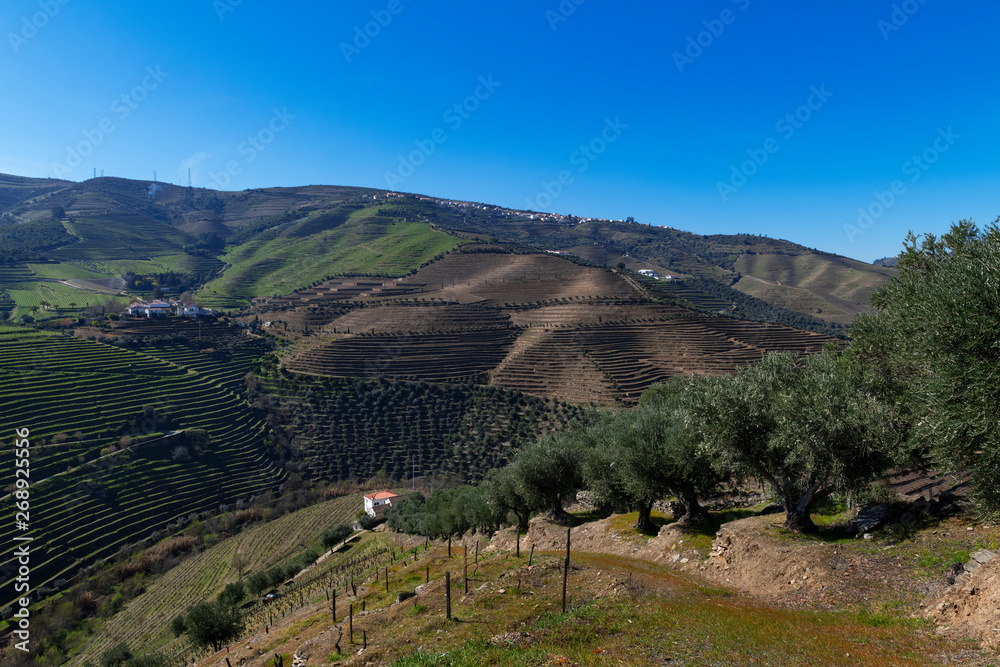 View of the terraced vineyards in the Douro Valley near the village of Pinhao, in Portugal; Concept for travel in Portugal and most beautiful places in Portugal