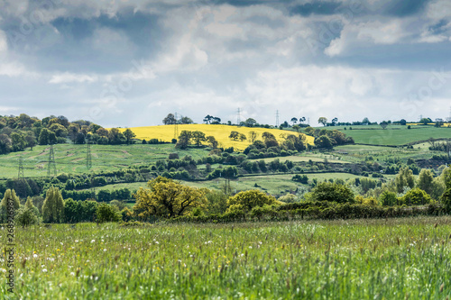 Somerset countryside
