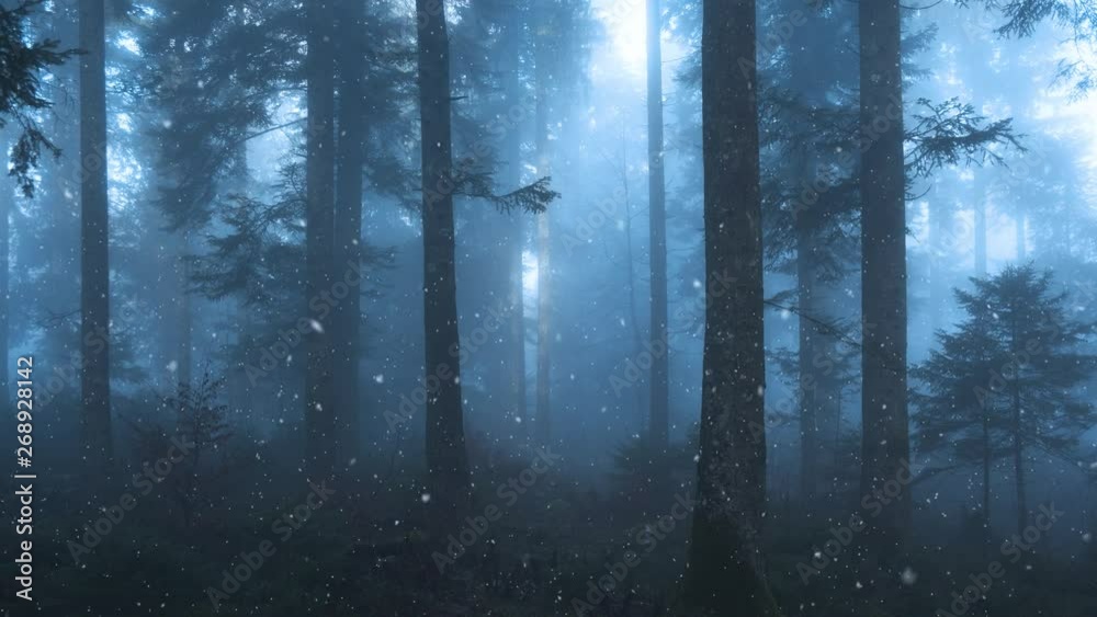 First snowall in winter foggy forest tree landscape.