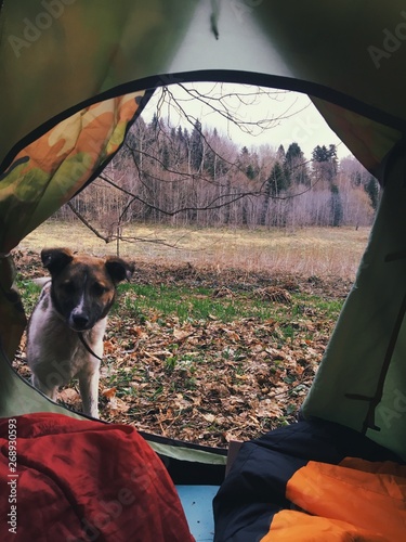 man and woman in tent
