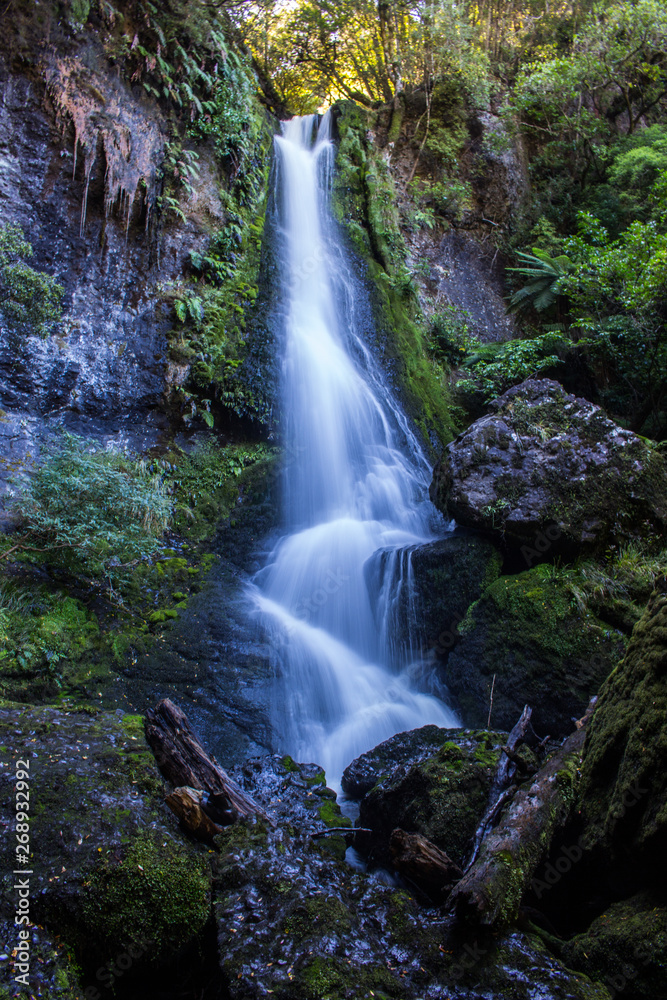 Obraz premium Waterfall in the forest, south island, New Zealand.