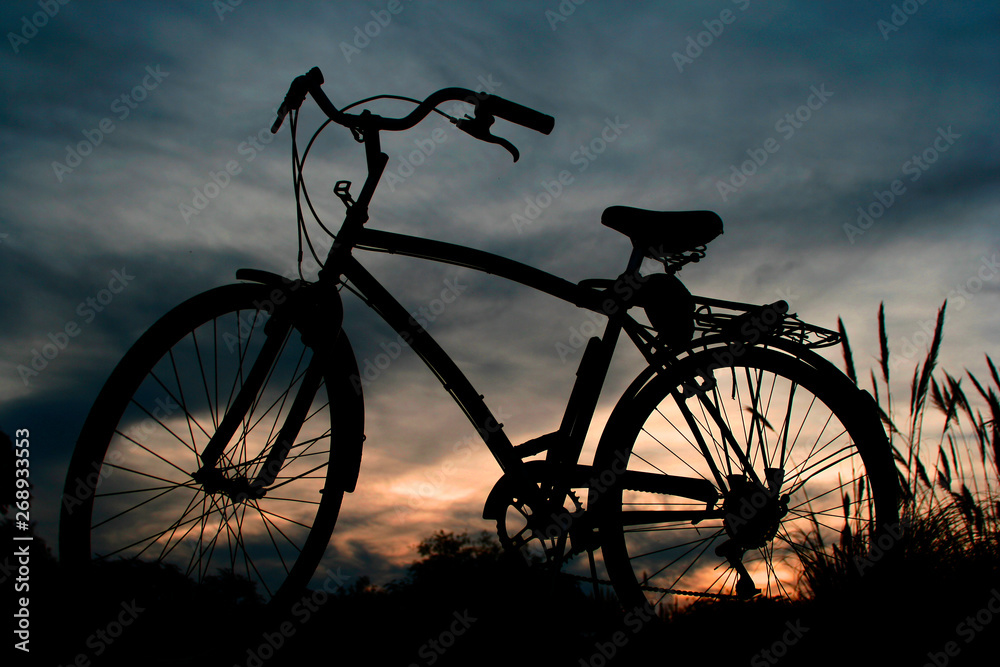 BICICLETA BICICLETA
