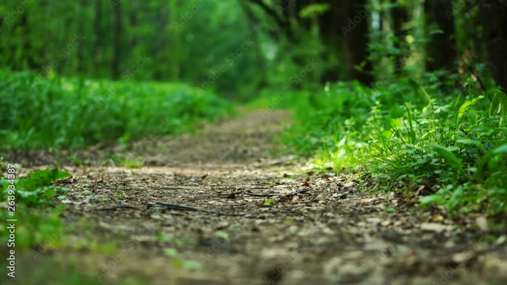 A path road