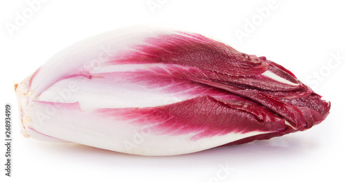 Red chicory on white background photo