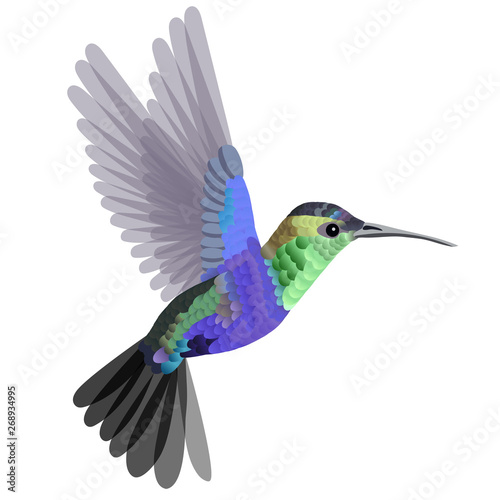 Tropical bird hummingbird in blue-green tones isolated on white background. Vector illustration.