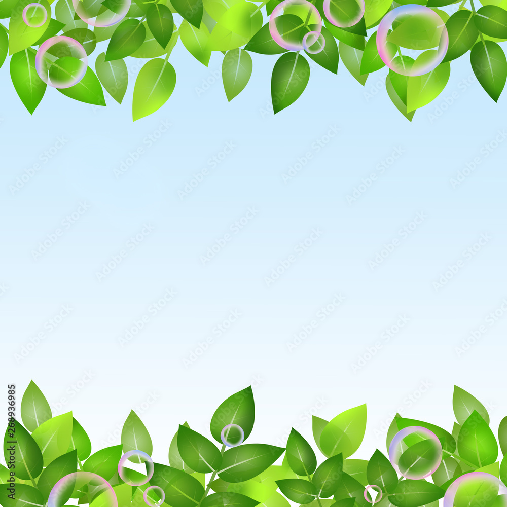 新緑 若葉 葉っぱ 植物 フレーム 枠 Stock イラスト Adobe Stock