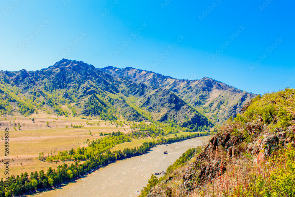 Misty River Through a Forest. Stream in the wood. Beautiful natural scenery of river in the forest.  Mountain valley.  Peaceful summer nature background. Mountain river water landscape. Altai mountain