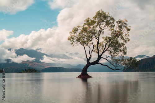 Amazing wanaka tree. It is one of the most photo tree in the world