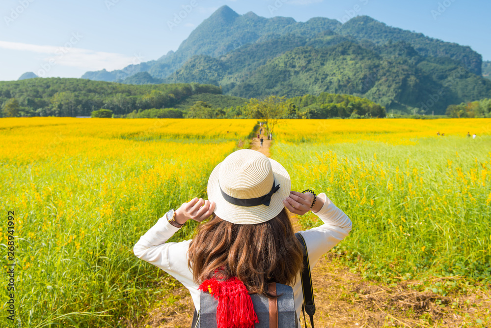 Back view of young tourist woman traveling in Sunhemp field (Crotalaria Juncea) at the foothills of Doi Nang Non mountain in Mae Sai district of Chiang Rai province, Thailand. 