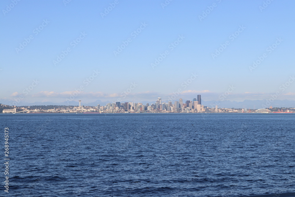 View of a big city from water