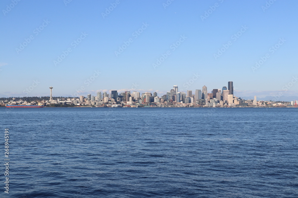 View of a big city from water