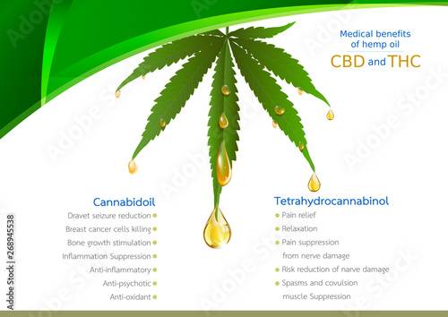 Green cannabis leaf drug marijuana herb Background.