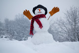 Snow man. Snowman. Snowman isolated on snow background. Snowman in a scarf and hat. Happy funny snowman in the snow.