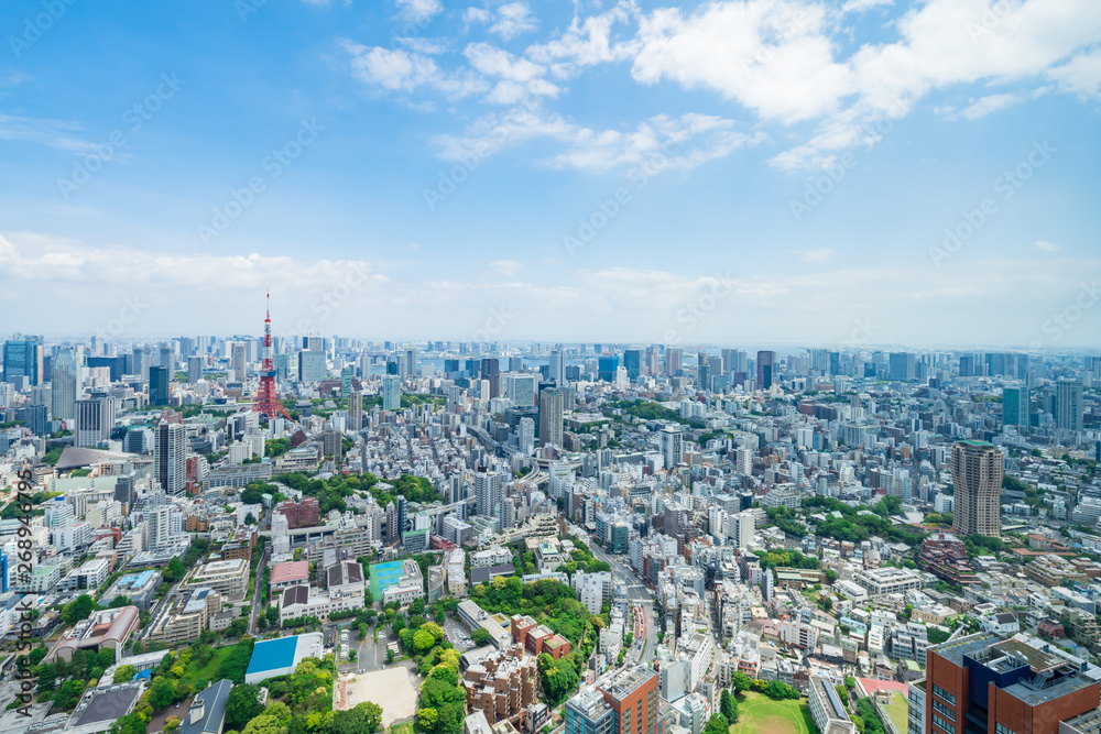 Fototapeta premium Krajobraz Tokio
