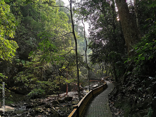 Bukit Wang Recreational Forest in Jitra, Kedah, Malaysia is a popular recreational rainforest among the locals during weekends.  photo